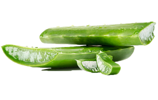 Регенератор