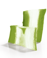 Защитник организма